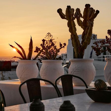 Elaia Luxury Suites Mykonos Mykonos Town Екстер'єр фото