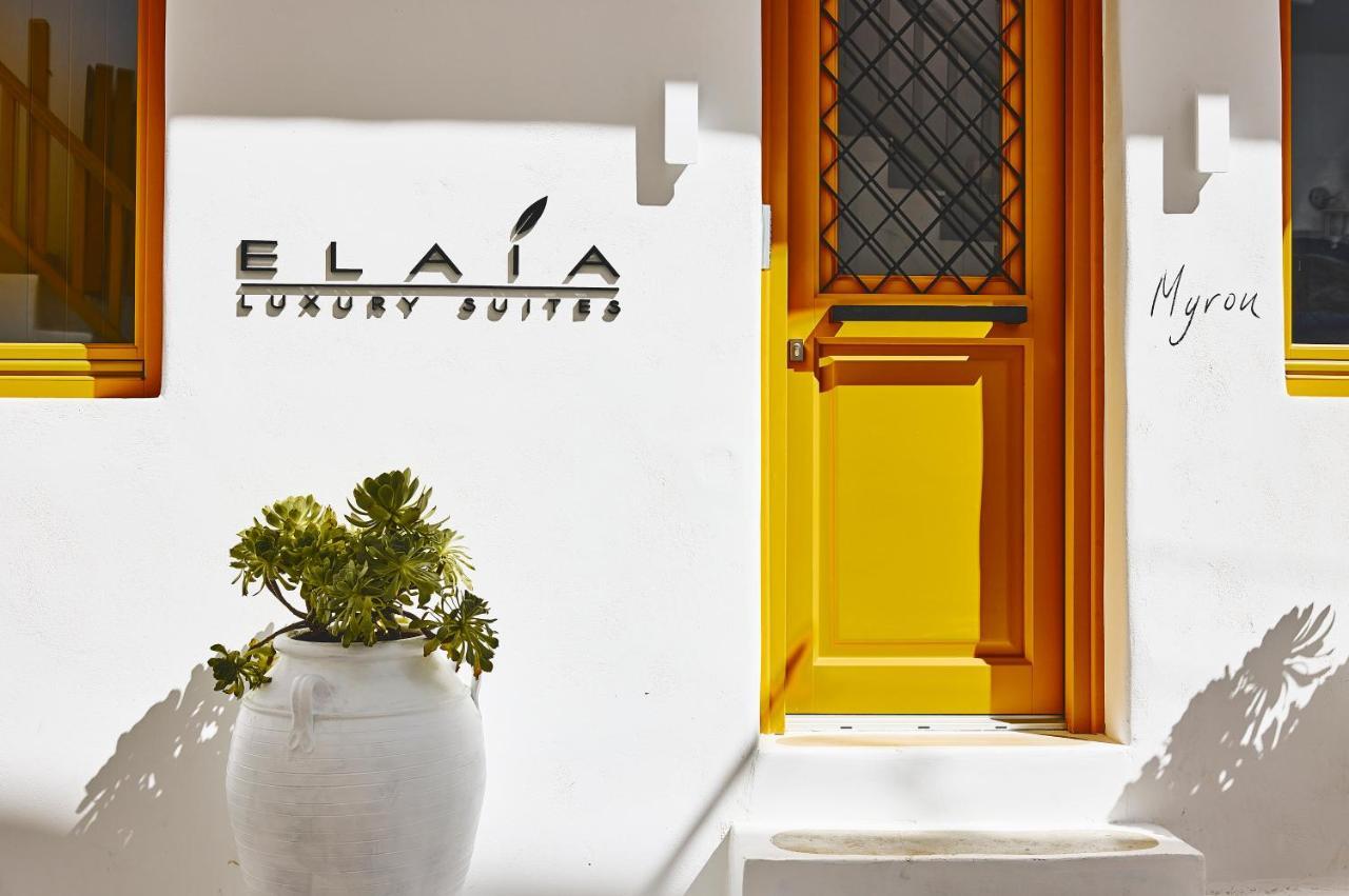Elaia Luxury Suites Mykonos Mykonos Town Екстер'єр фото