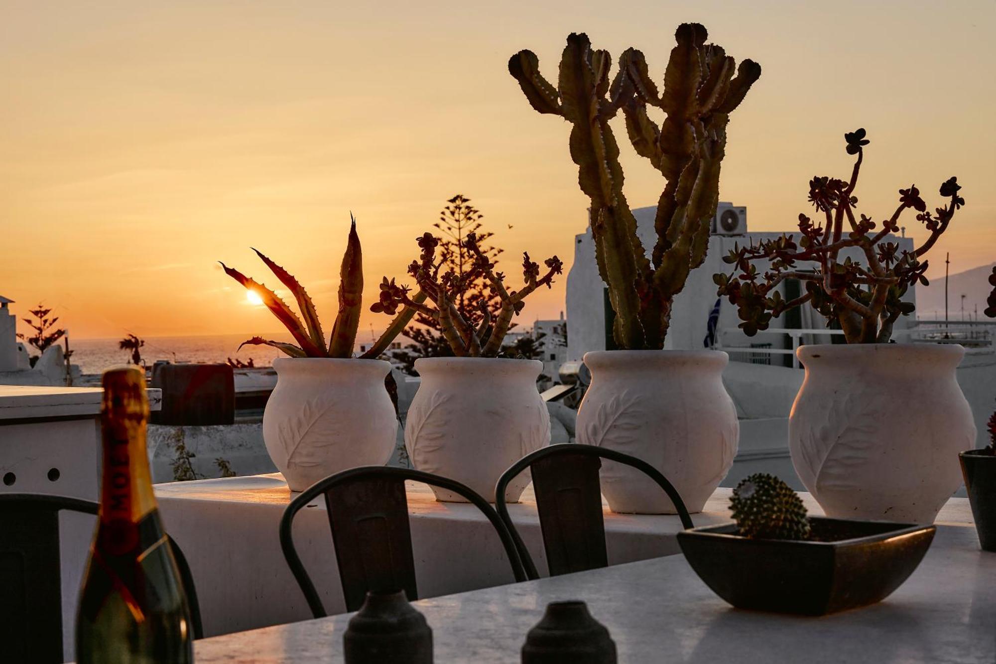 Elaia Luxury Suites Mykonos Mykonos Town Екстер'єр фото